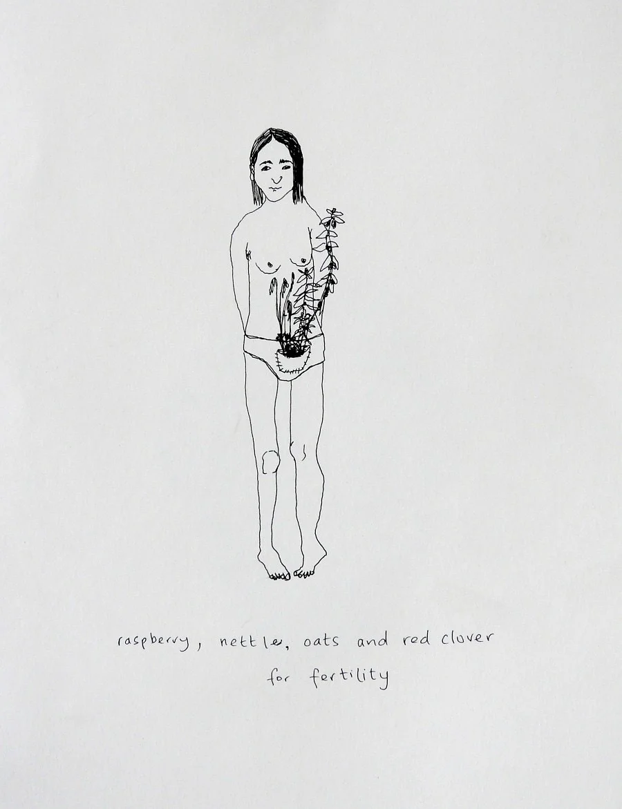 Raspberry, nettle, oats and red clover for fertility, Plants & People Series.