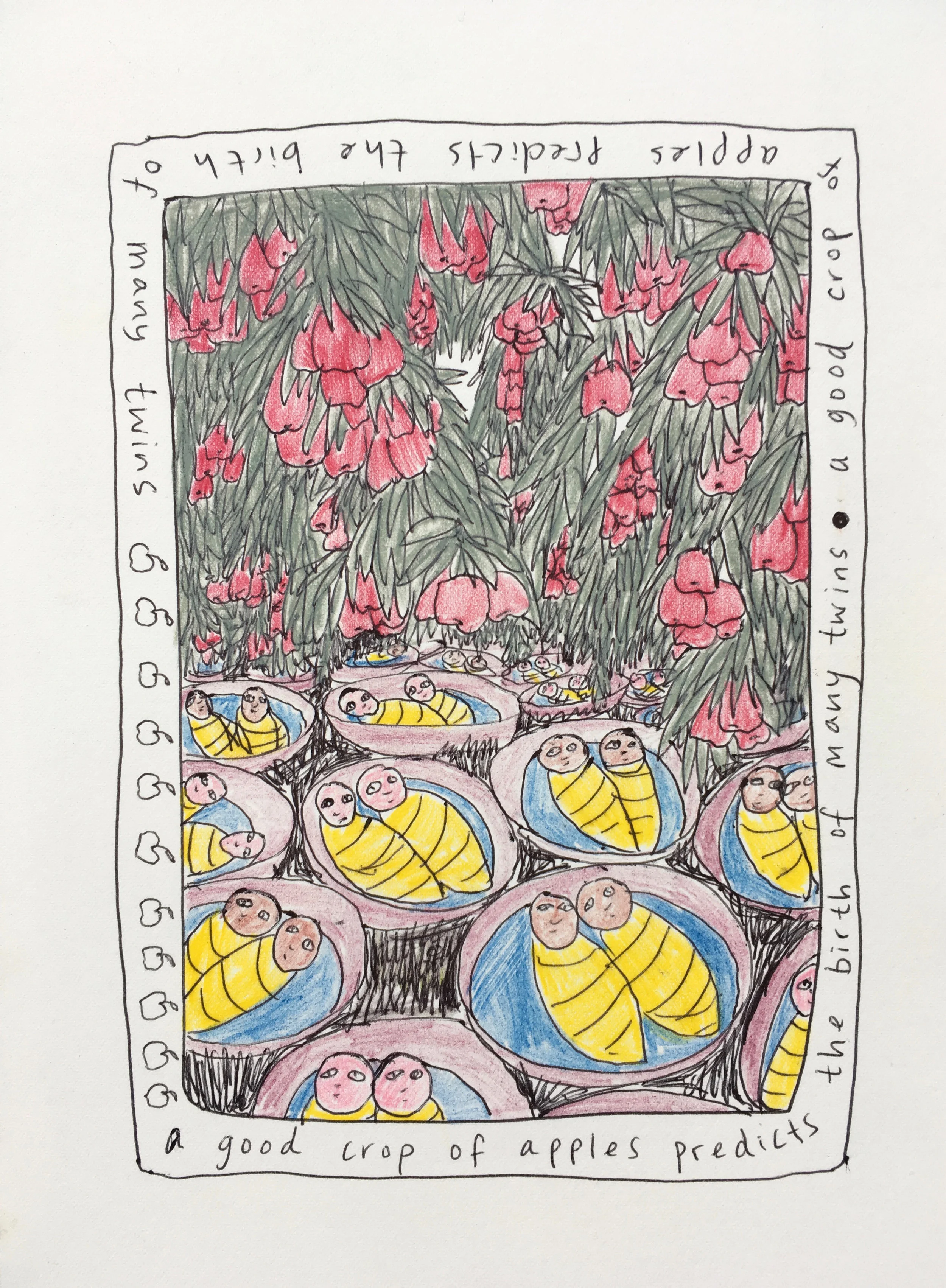 A good crop of apples predicts the birth of many twins, Plant Tales Series (Prints available).
