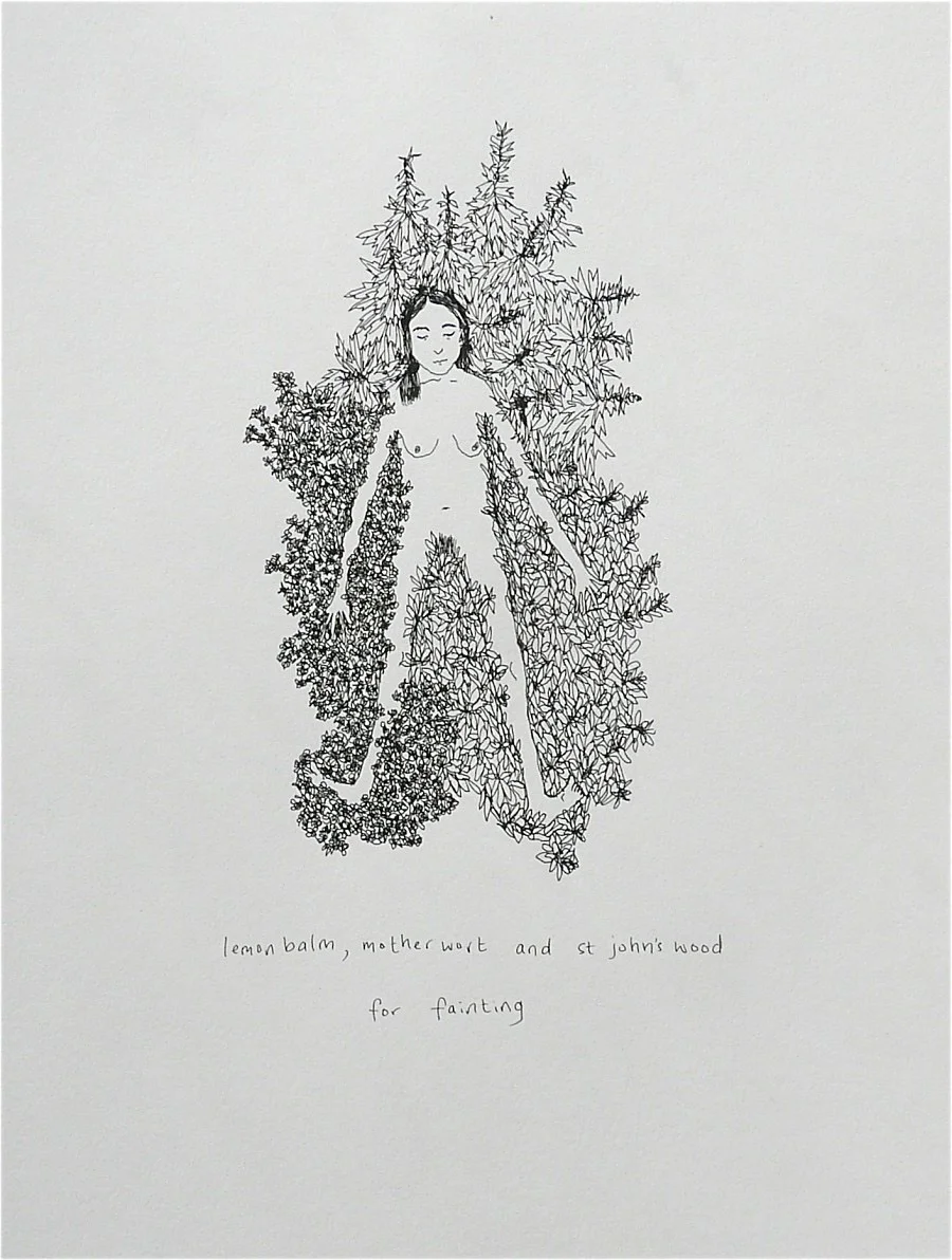 Lemon balm, motherwort and st john's wort for fainting, Plants & People Series.