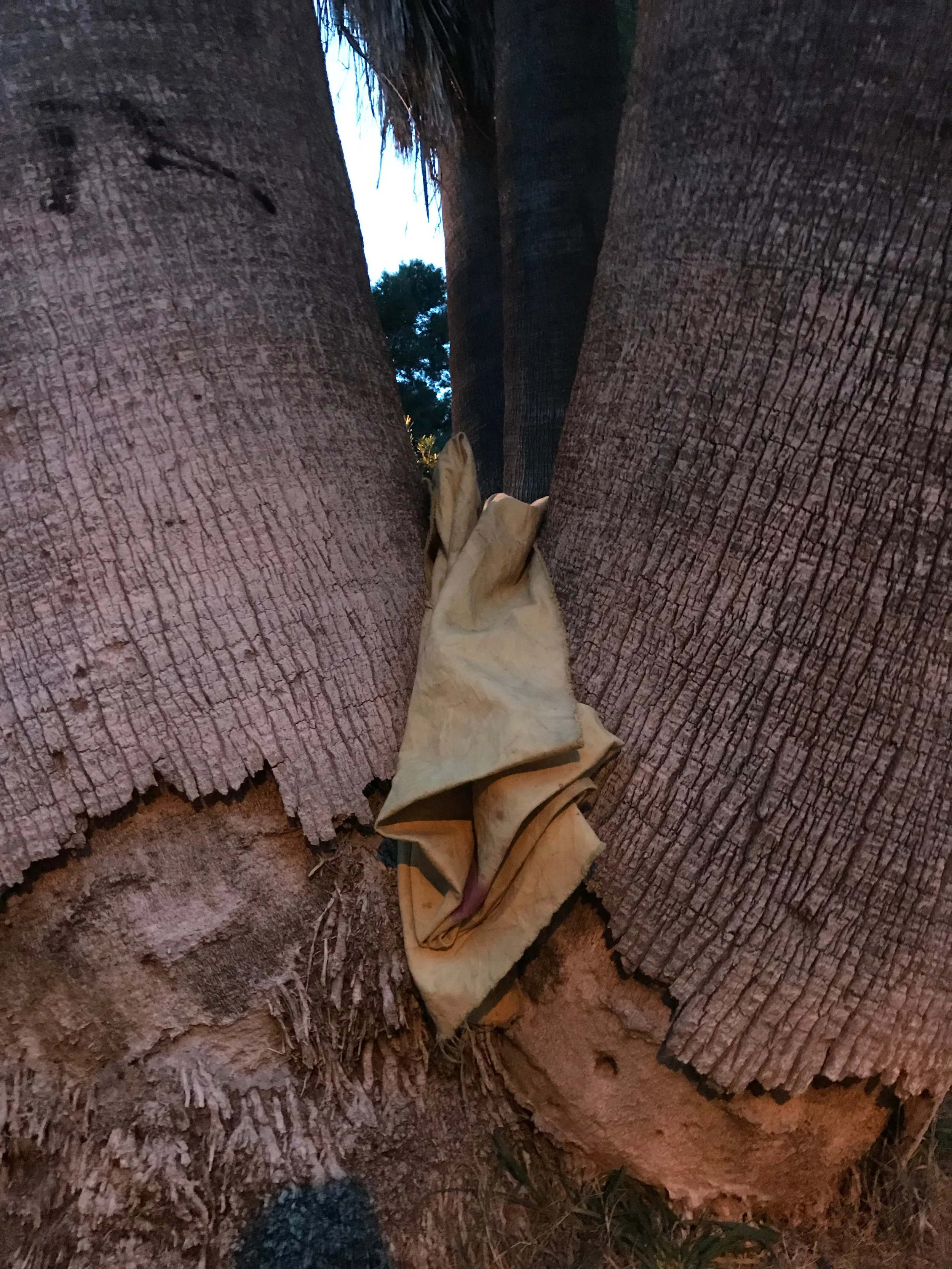 Image of one of the Landscape Blanket Processes, 2019.jpg