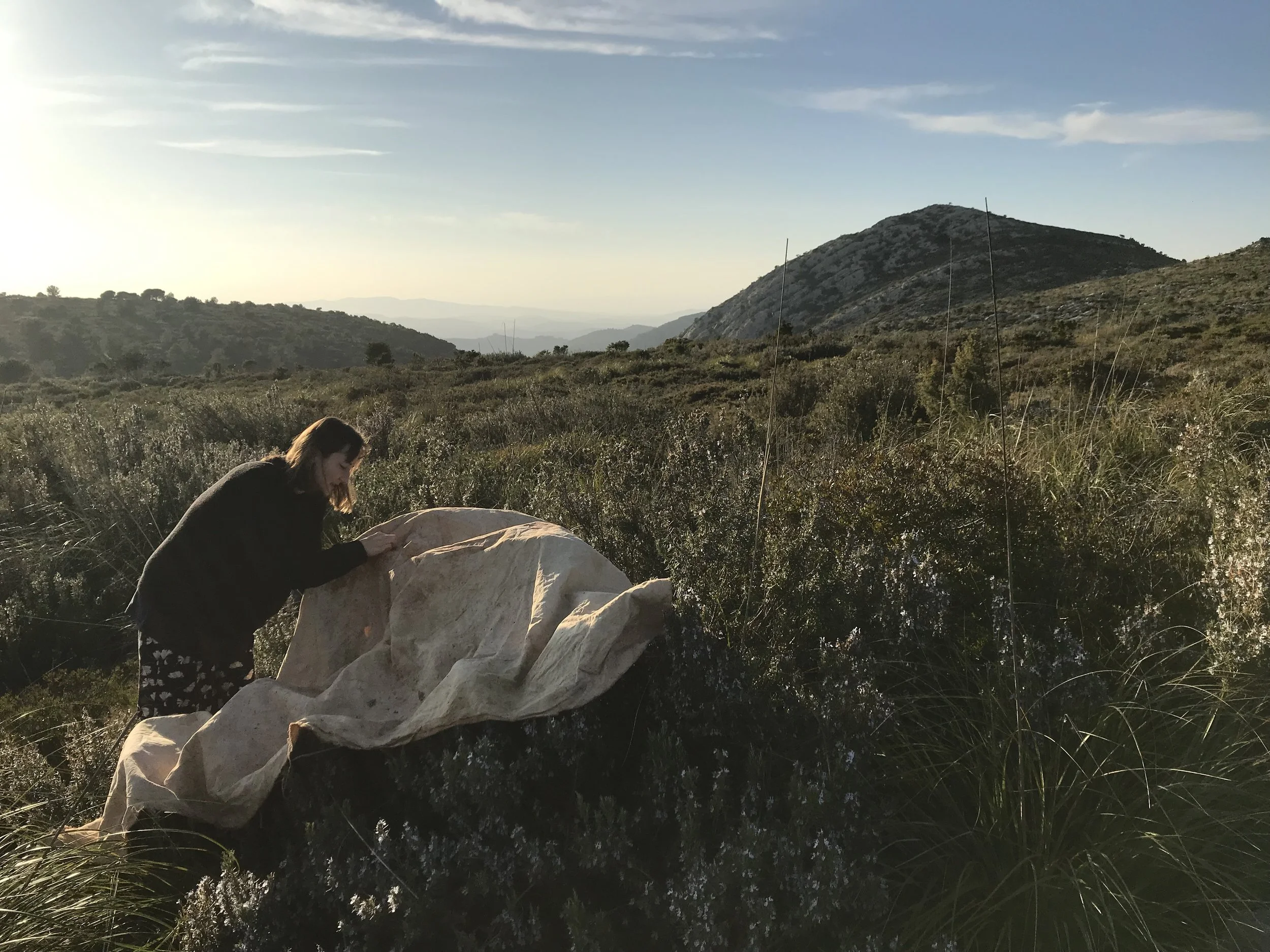 Image of Landscape Blanket Process.jpg