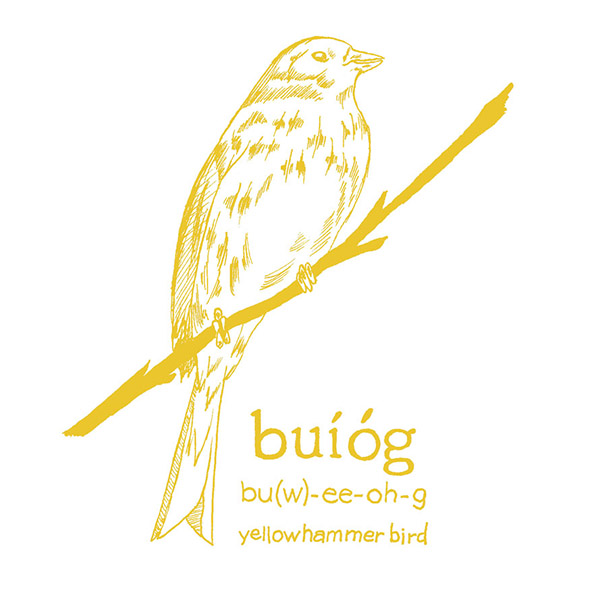buiog.jpg