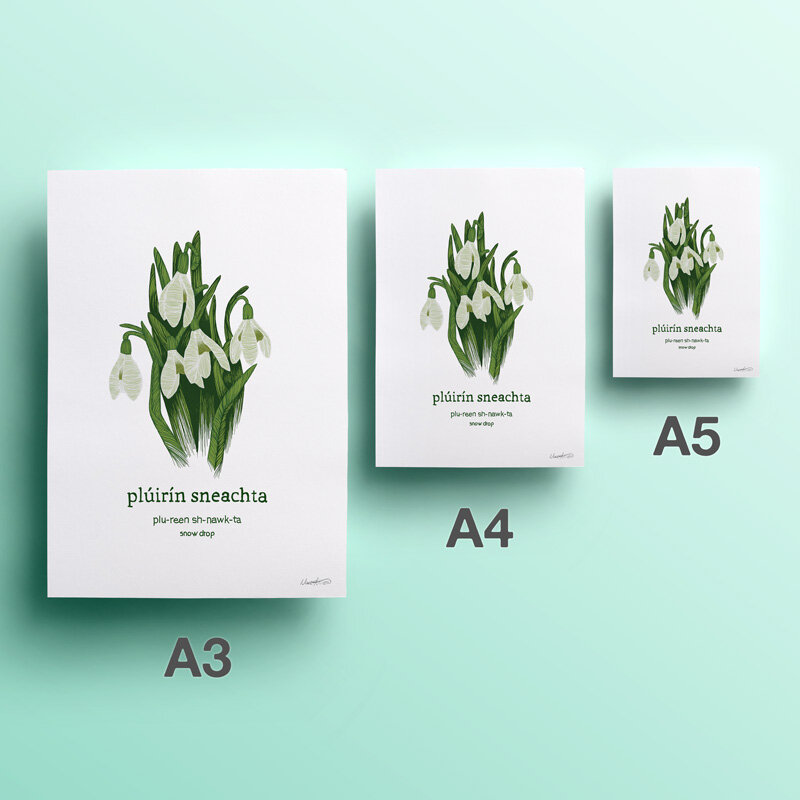 2nd-web-20-pluirin-sneachta-snowdrop.jpg