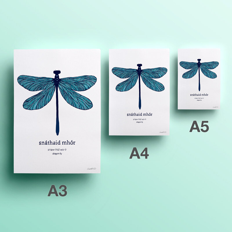 2nd-web-20-snaithaid-mhor-dragonfly.jpg