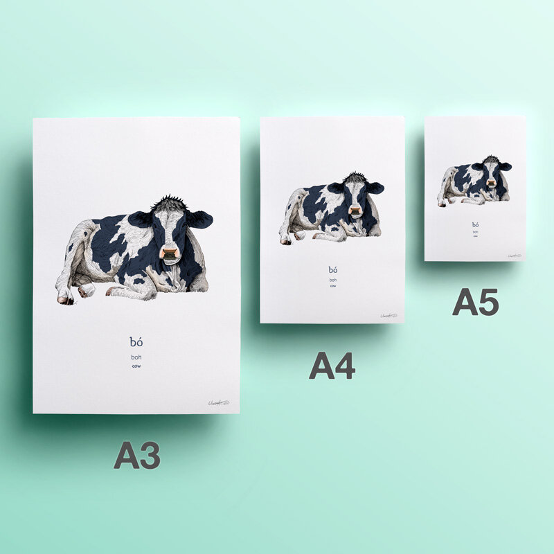 2nd-web-20-bo-cow.jpg