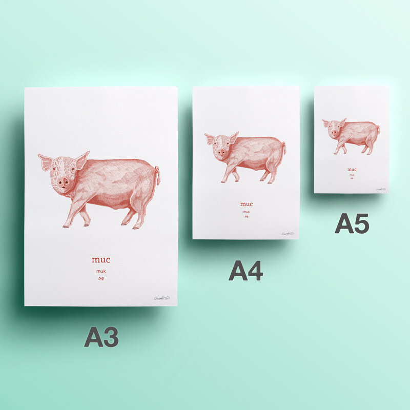 2nd-web-20-muc-pig.jpg
