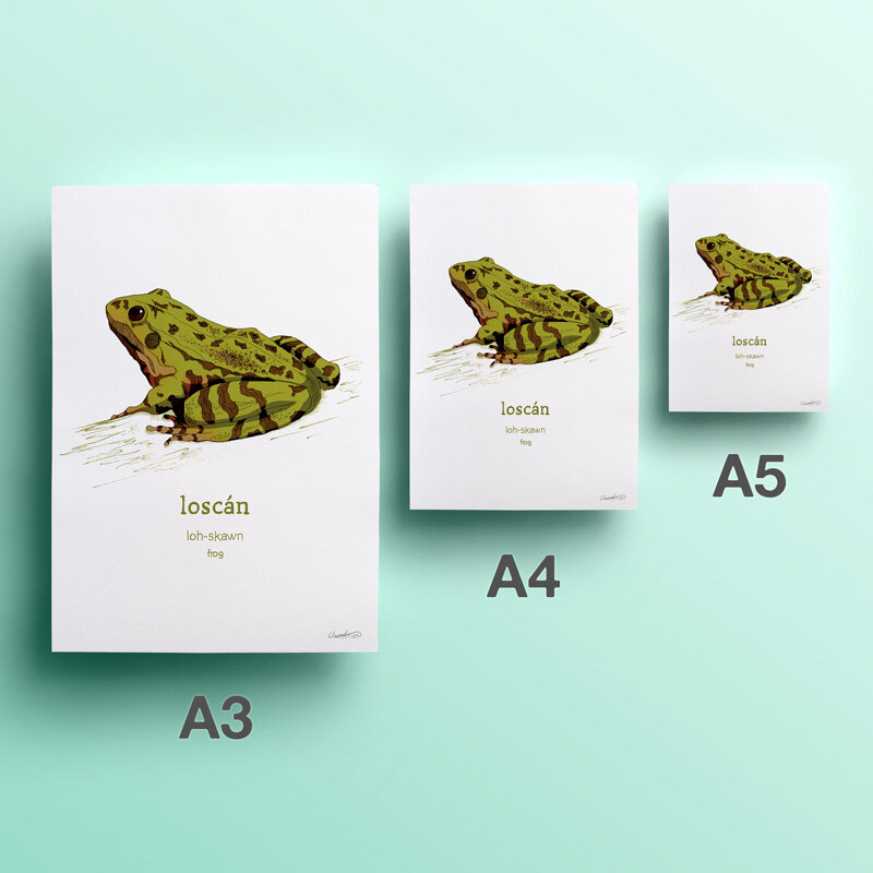 2nd-web-20-loscan-frog.jpg