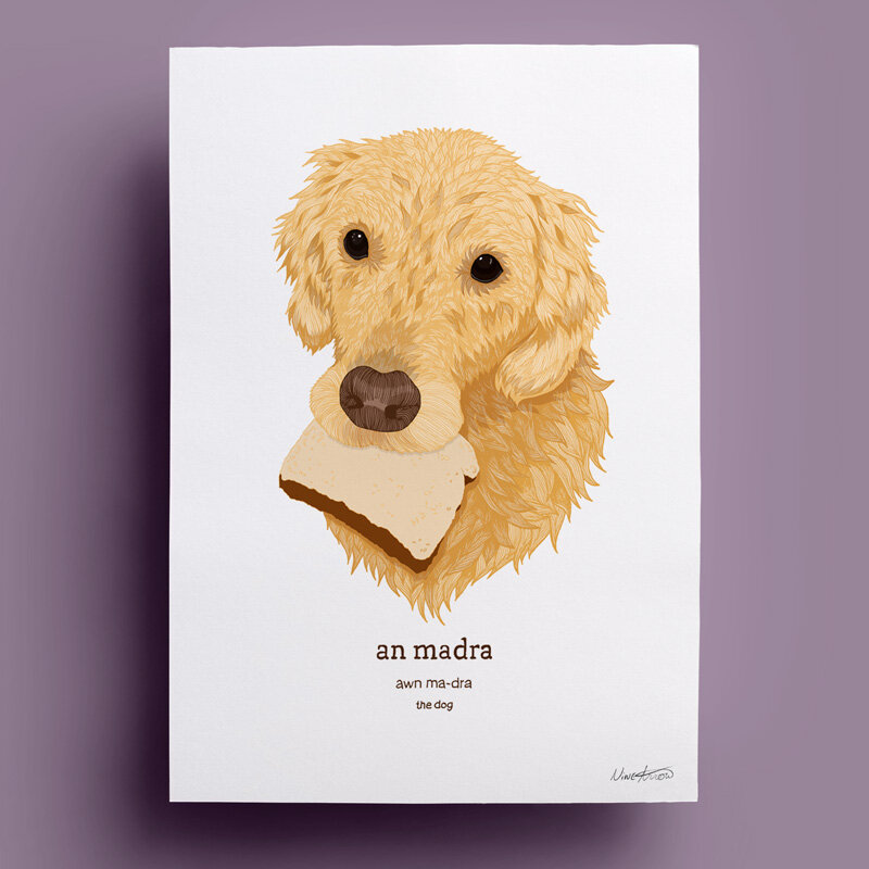 main-web-20-labrador.jpg