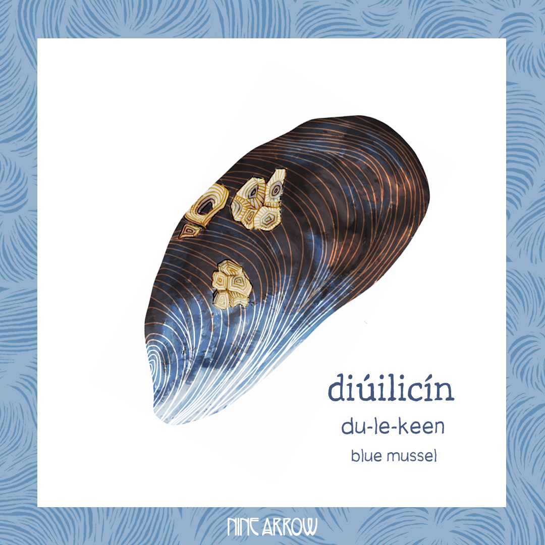 4A-diuilicin-mussel.png