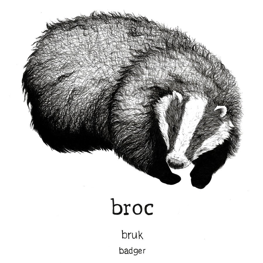 brok-badger.jpg