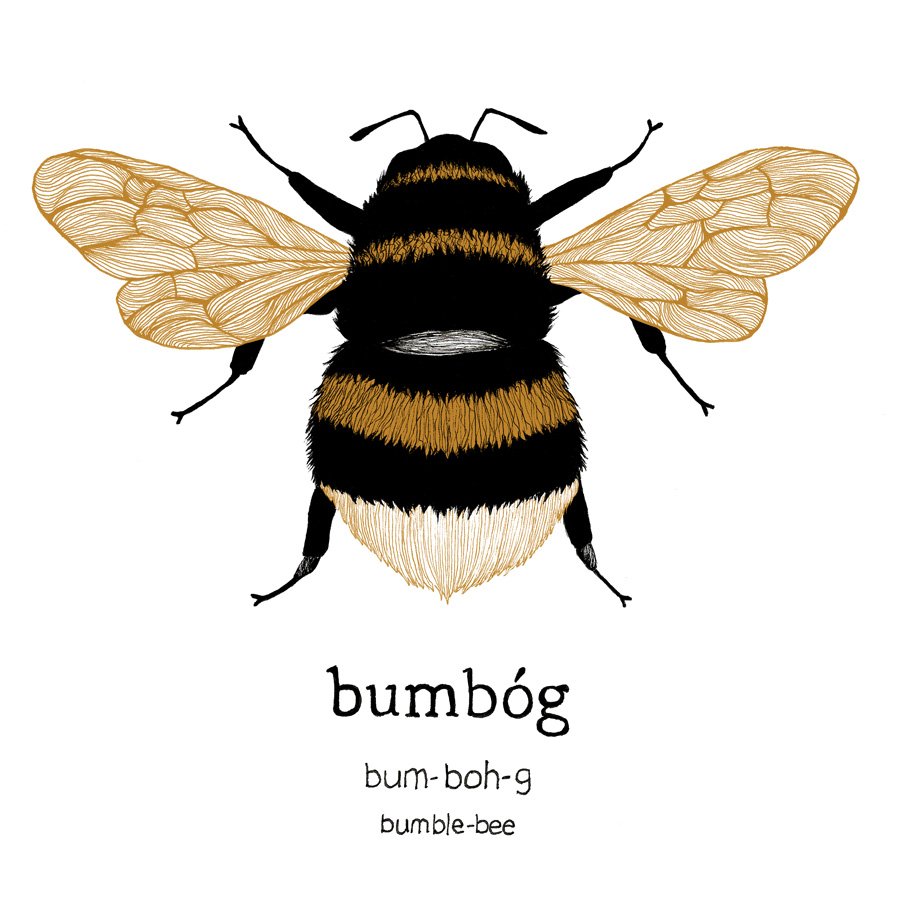 bumbog-bumblebee.jpg