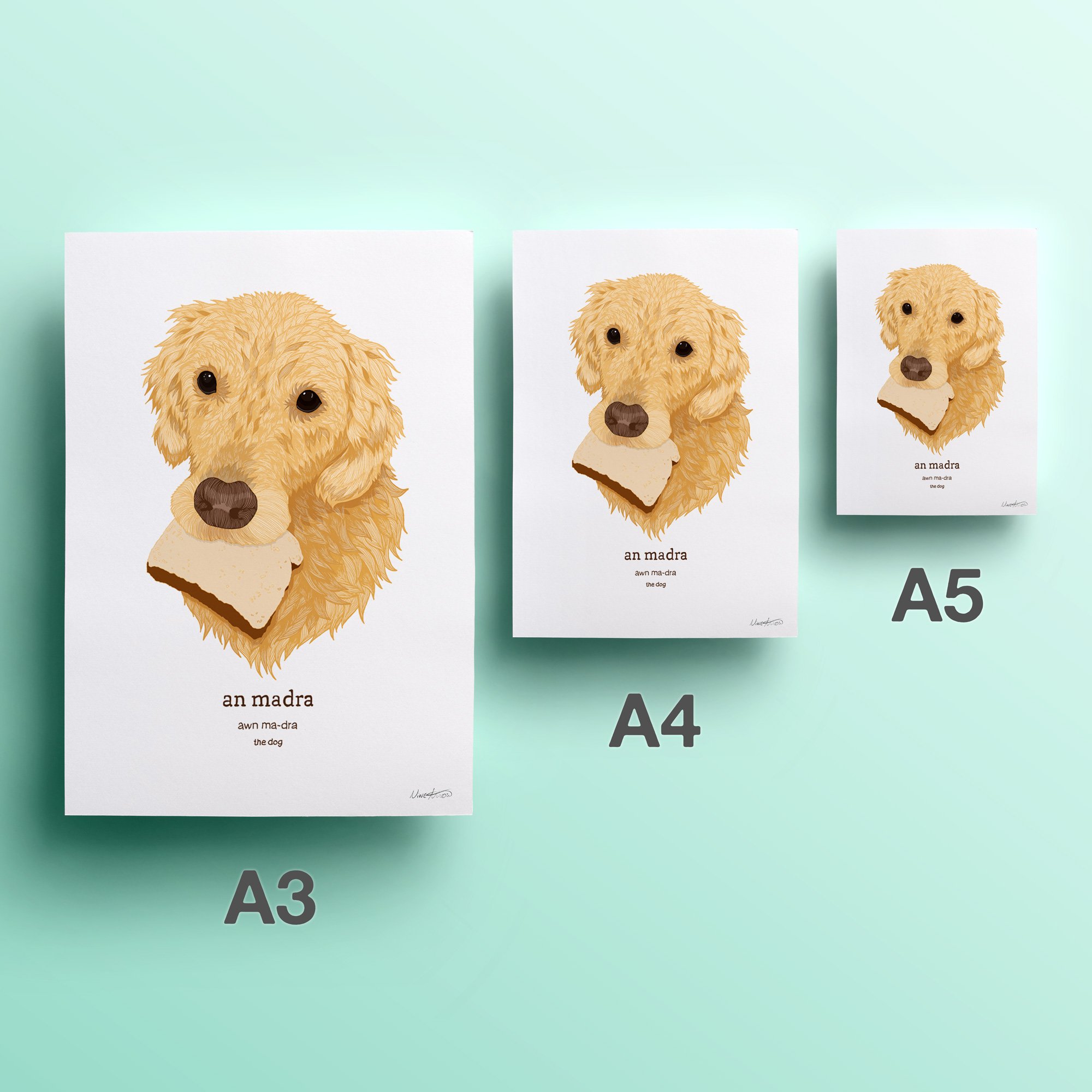 2nd-web-20-labrador.jpg