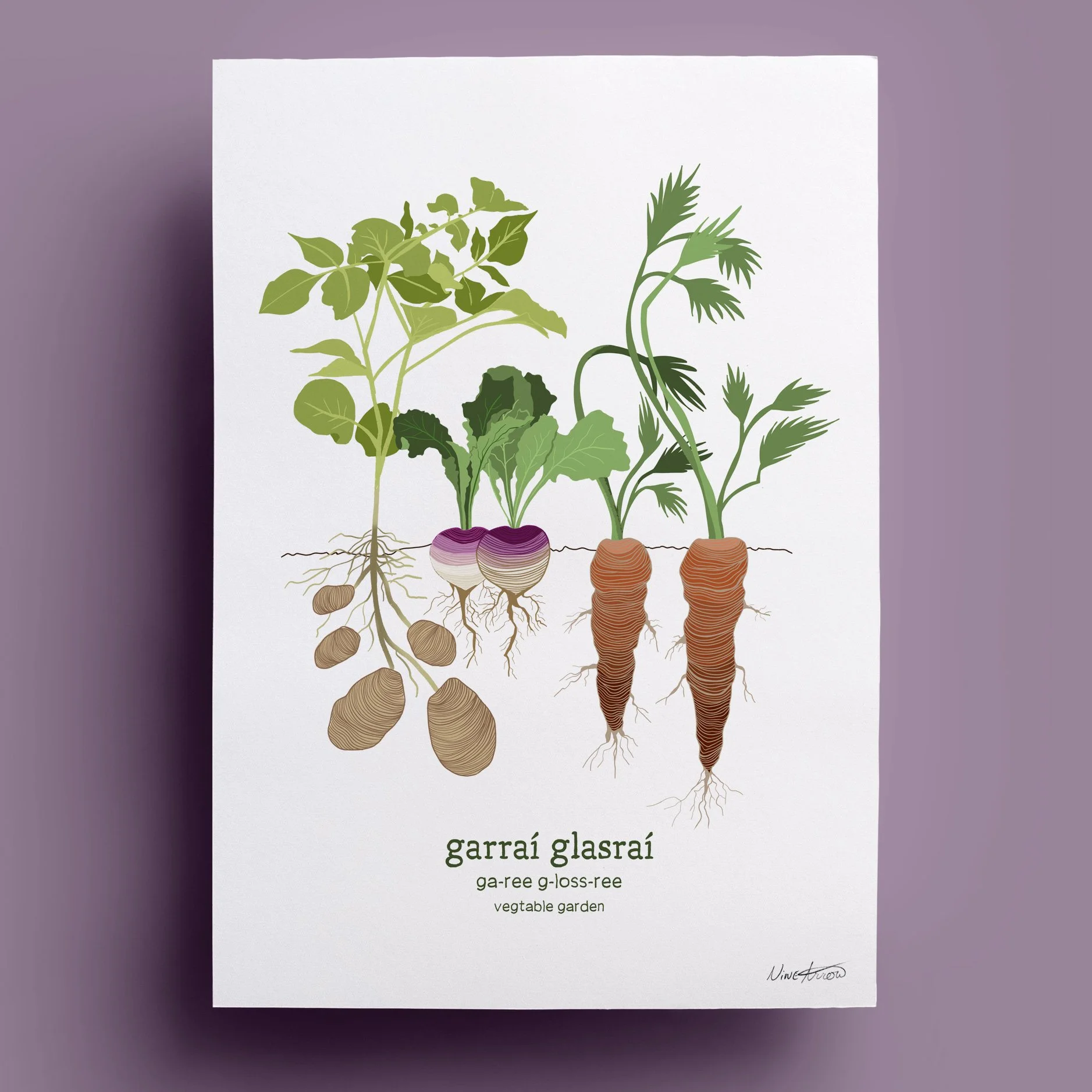 Garraí Glasraí | Vegetable Garden