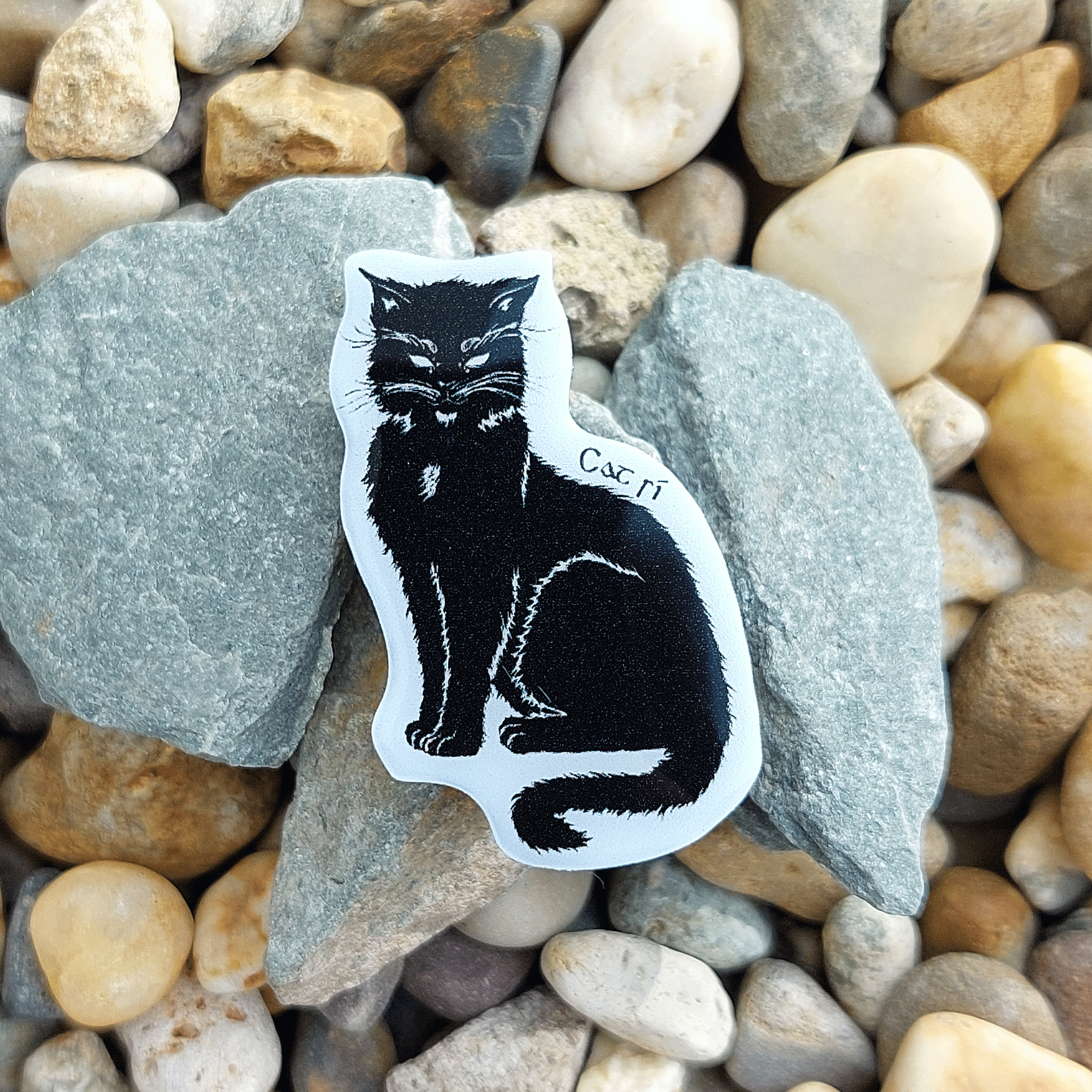 catsi-pin-front.png