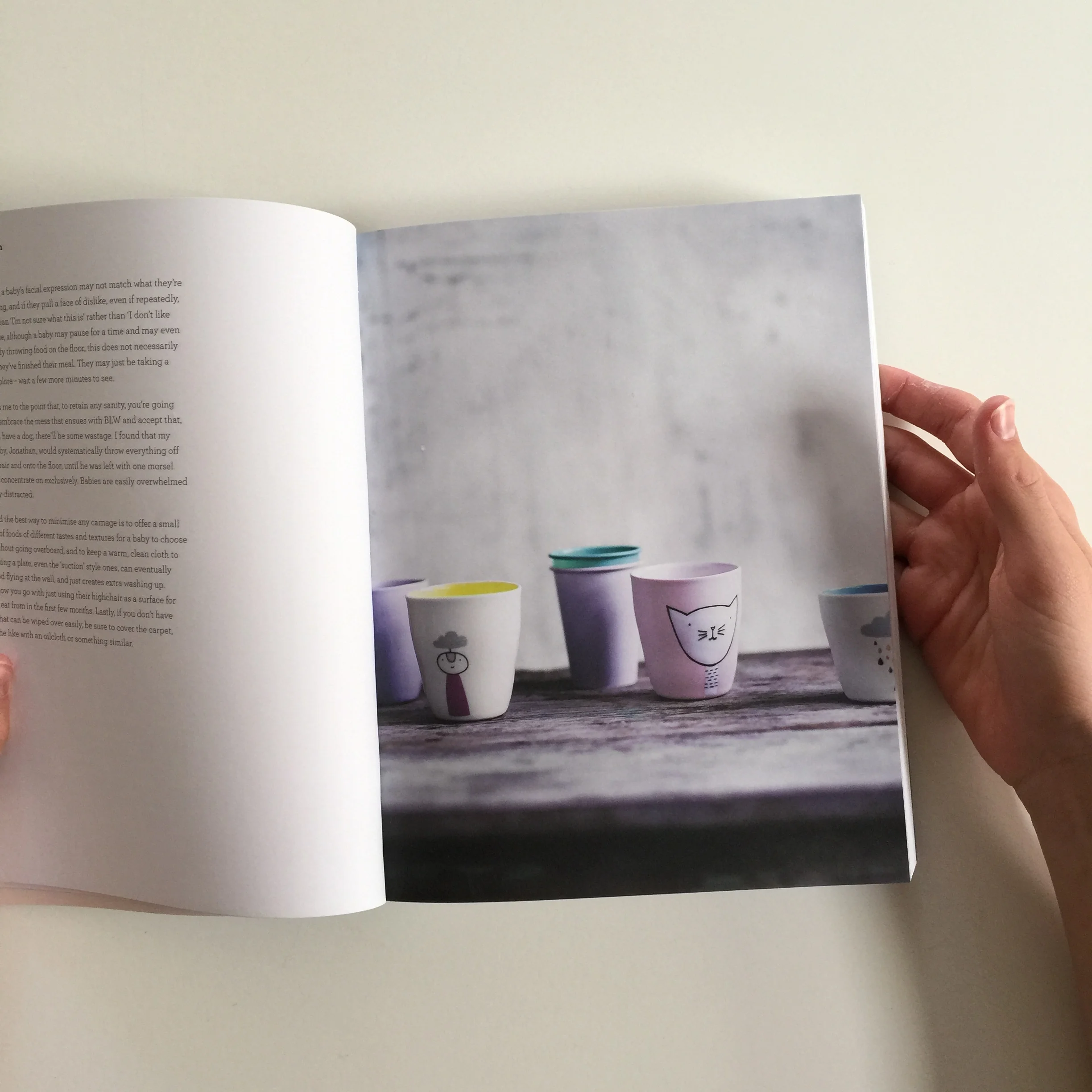 Real Food for Babies & Toddlers by Vanessa Clarkson