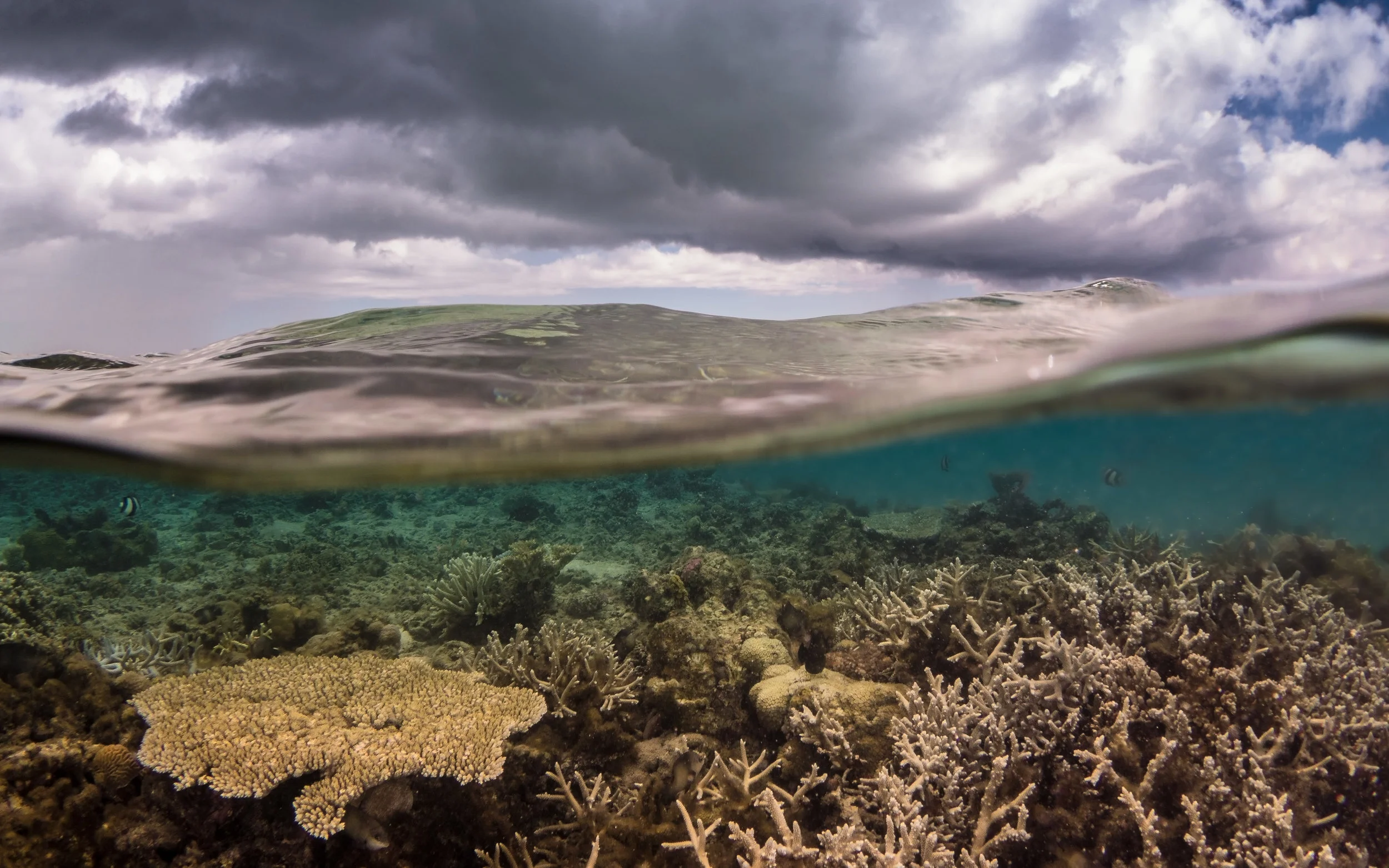 20131108-storm split.jpg