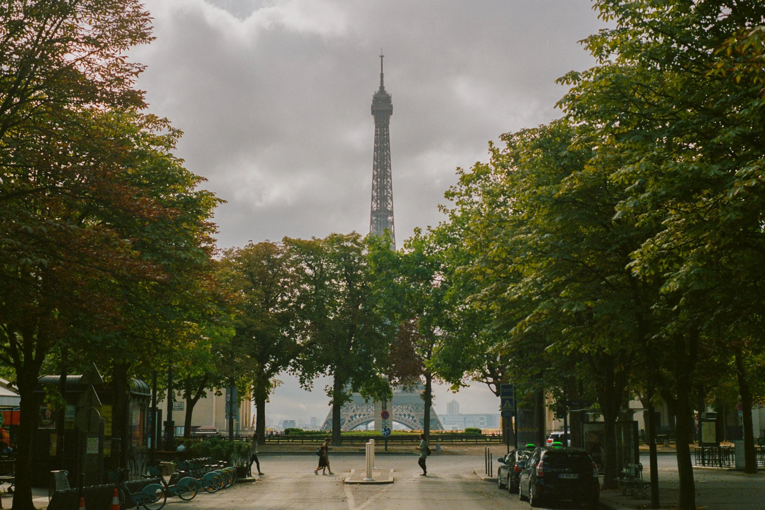 24x36 - FINALS-5.jpeg