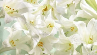 Giving Thanks and Celebrating Easter for Fifty Days!