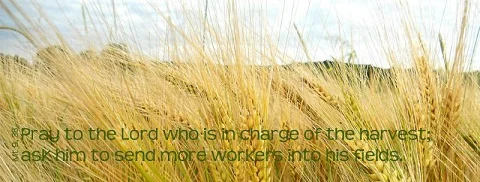 Saying So Long and Praying for Our Seminarians!  