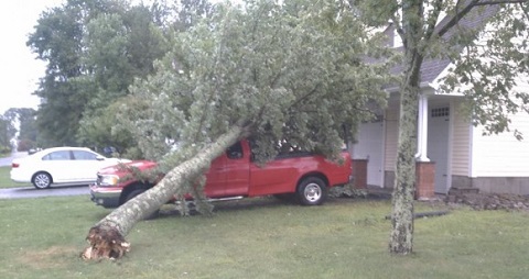 Storms and Sidewalks at OLM, Defunding Planned Parenthood Everywhere!!