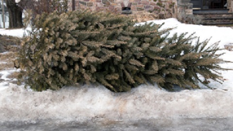 Christmas Draws to a Close as We Celebrate Baptism