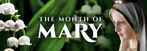 Honoring Mary , Celebrating  the Ascension and First Communion, its May!!!