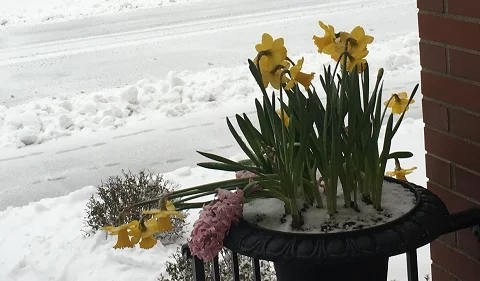 Celebrating Parish and School and Spring too, We Think??!!
