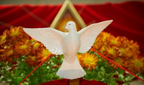 Join Us for the Mass of the Holy Spirit for the Opening of the School Year