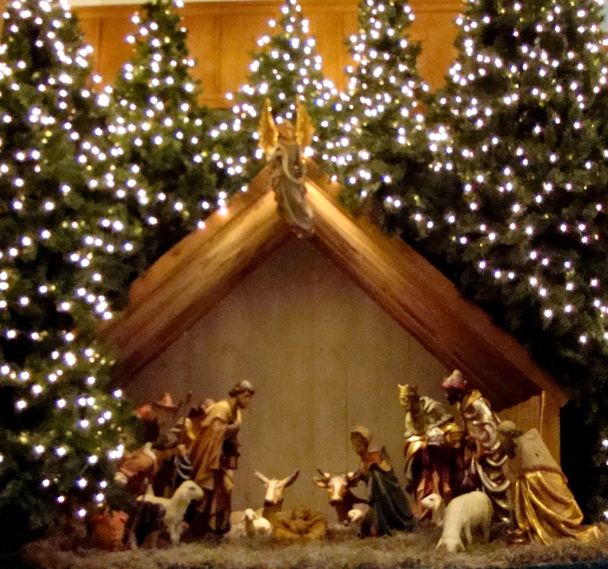DSC00827 (3).jpg
