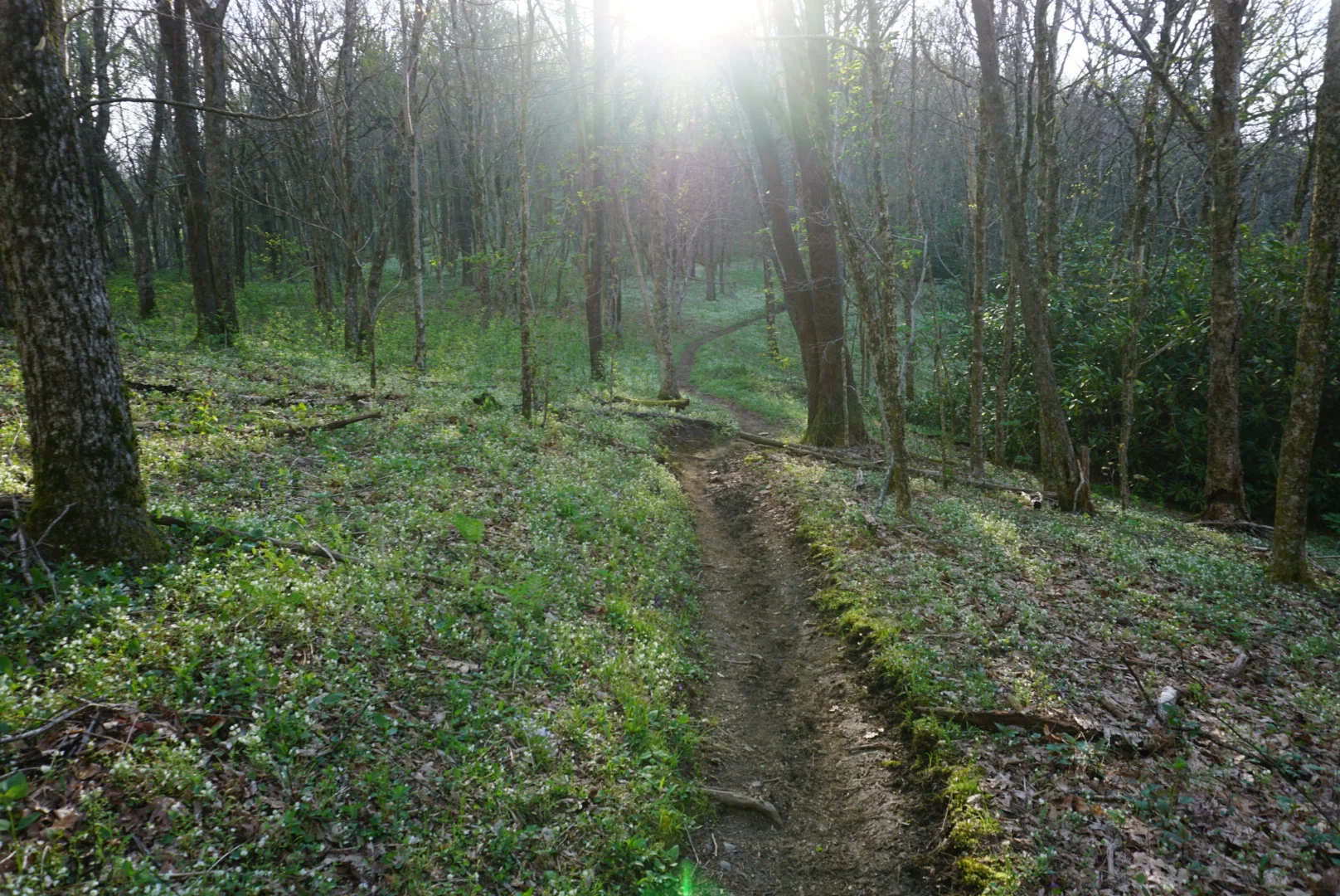 Great Smoky Mountains