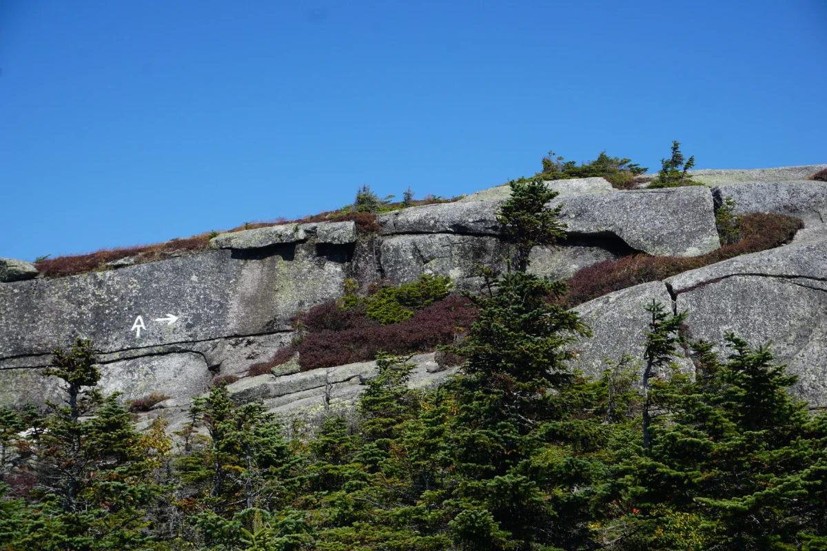 maine34.jpg