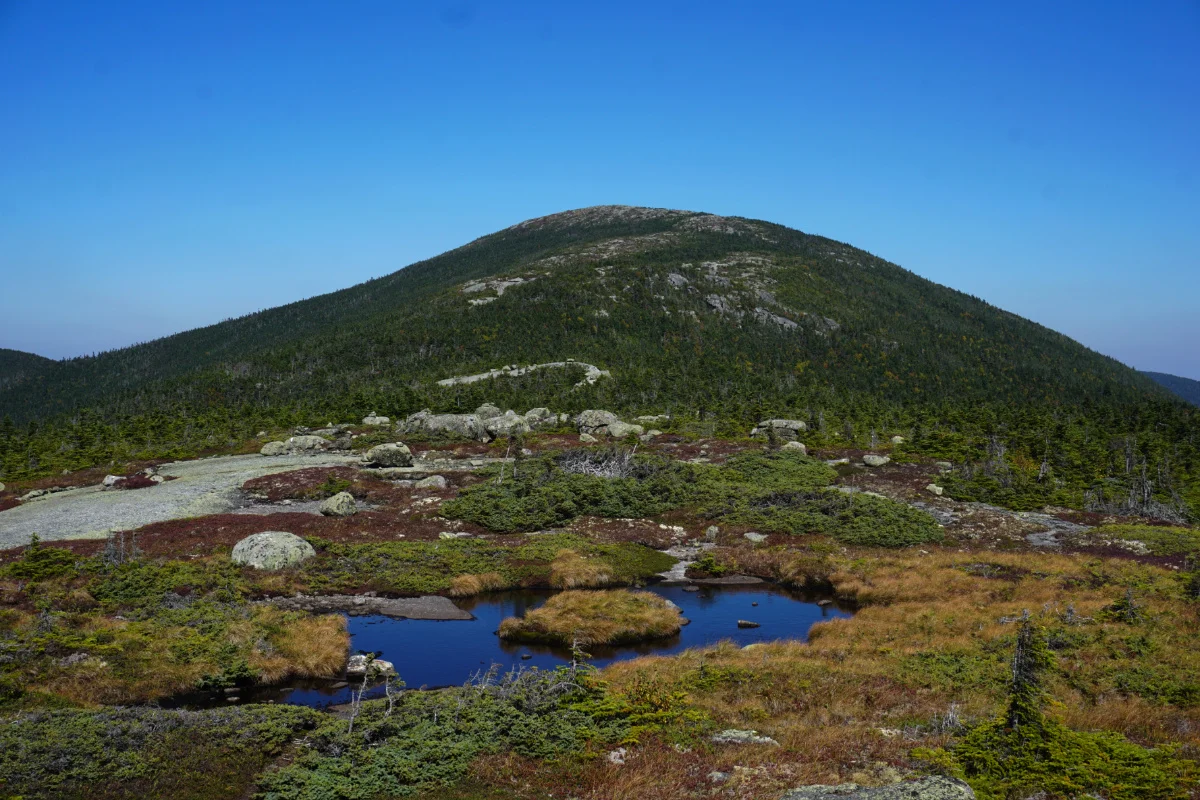 maine38.jpg