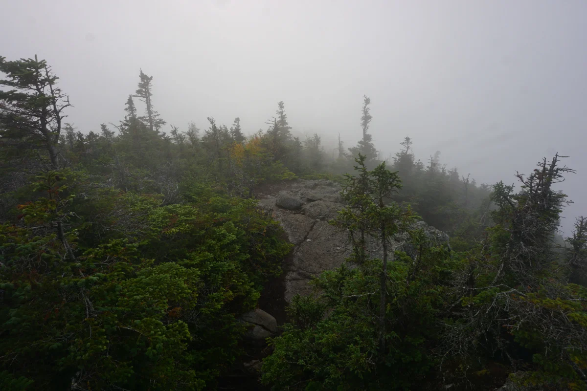 maine41.jpg