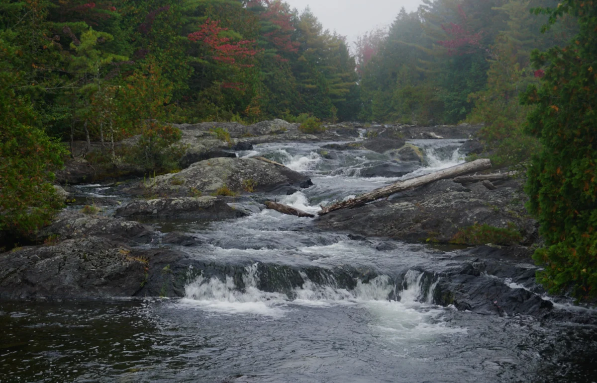 maine51.jpg