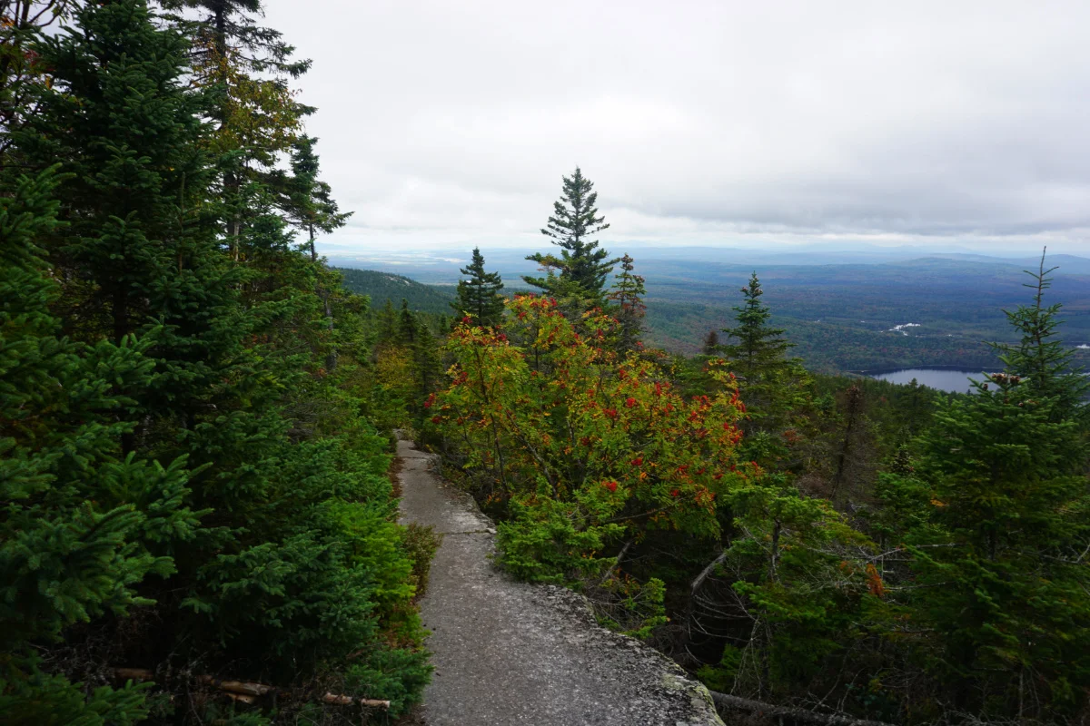 maine55.jpg