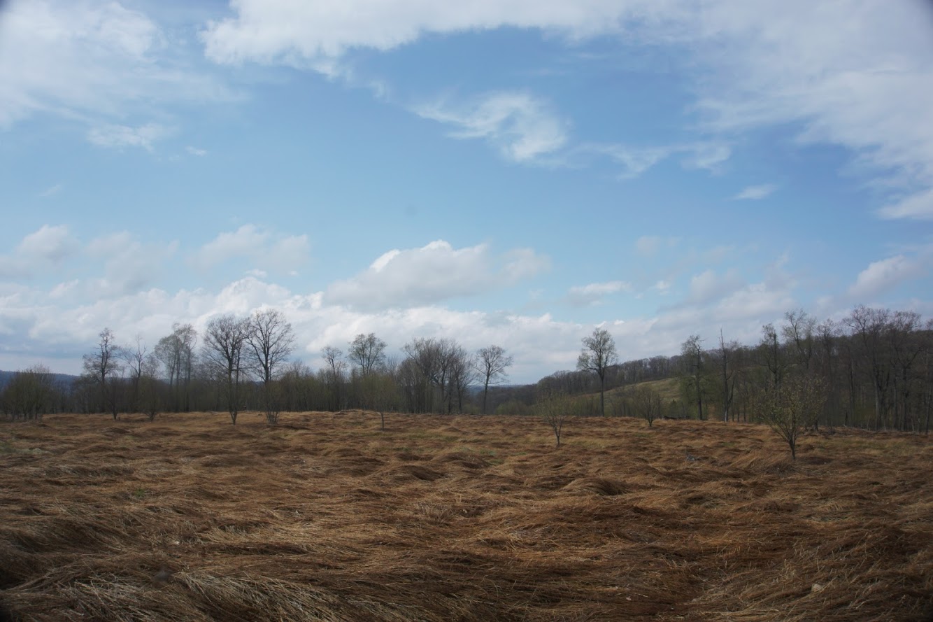 Twin Sisters Overnighter