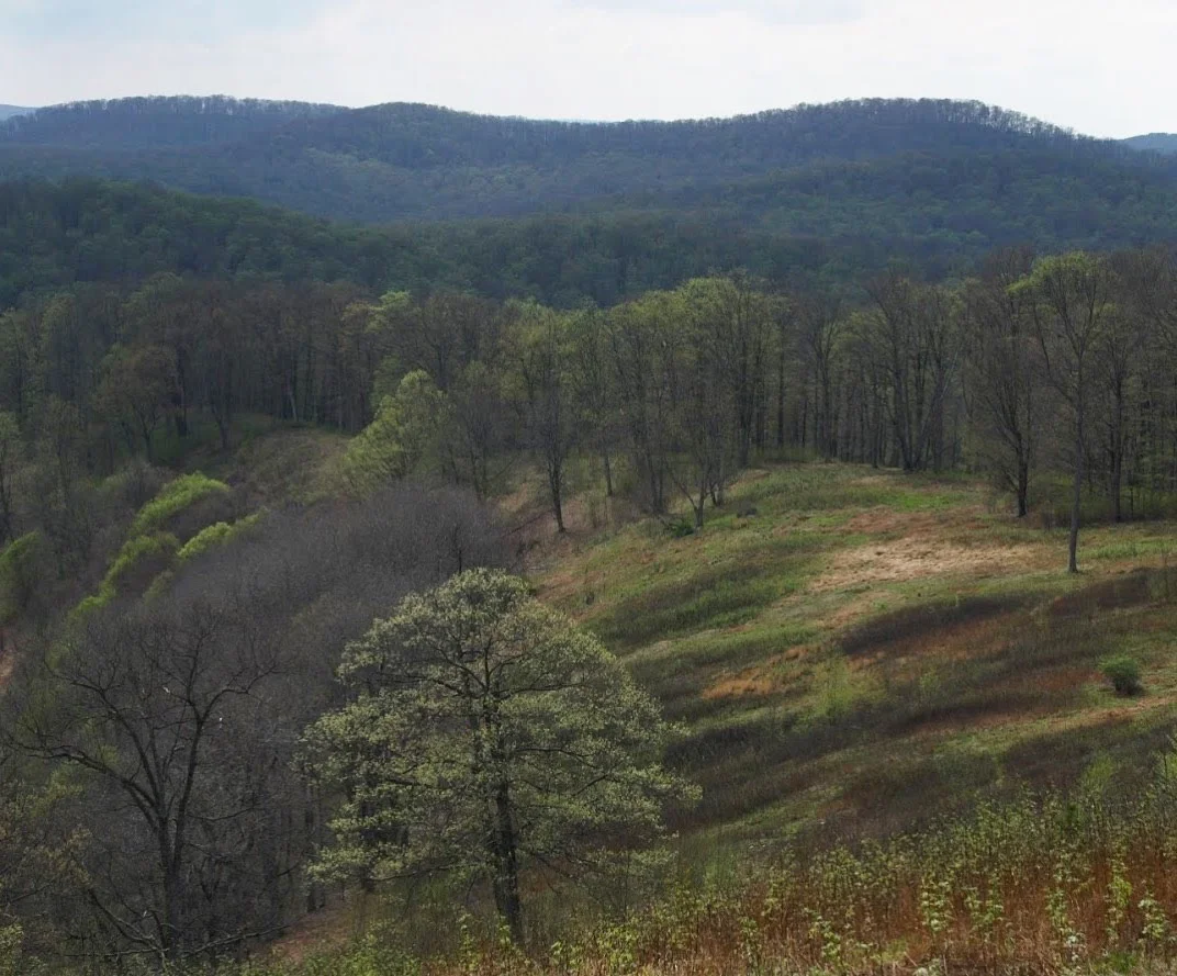 A Quick Review of 2018 