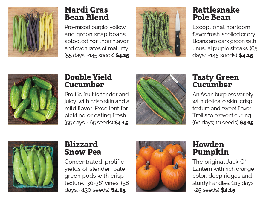 Screenshot 2026-02-23 at 10-14-00 fundraiser-variety-list.pdf.png