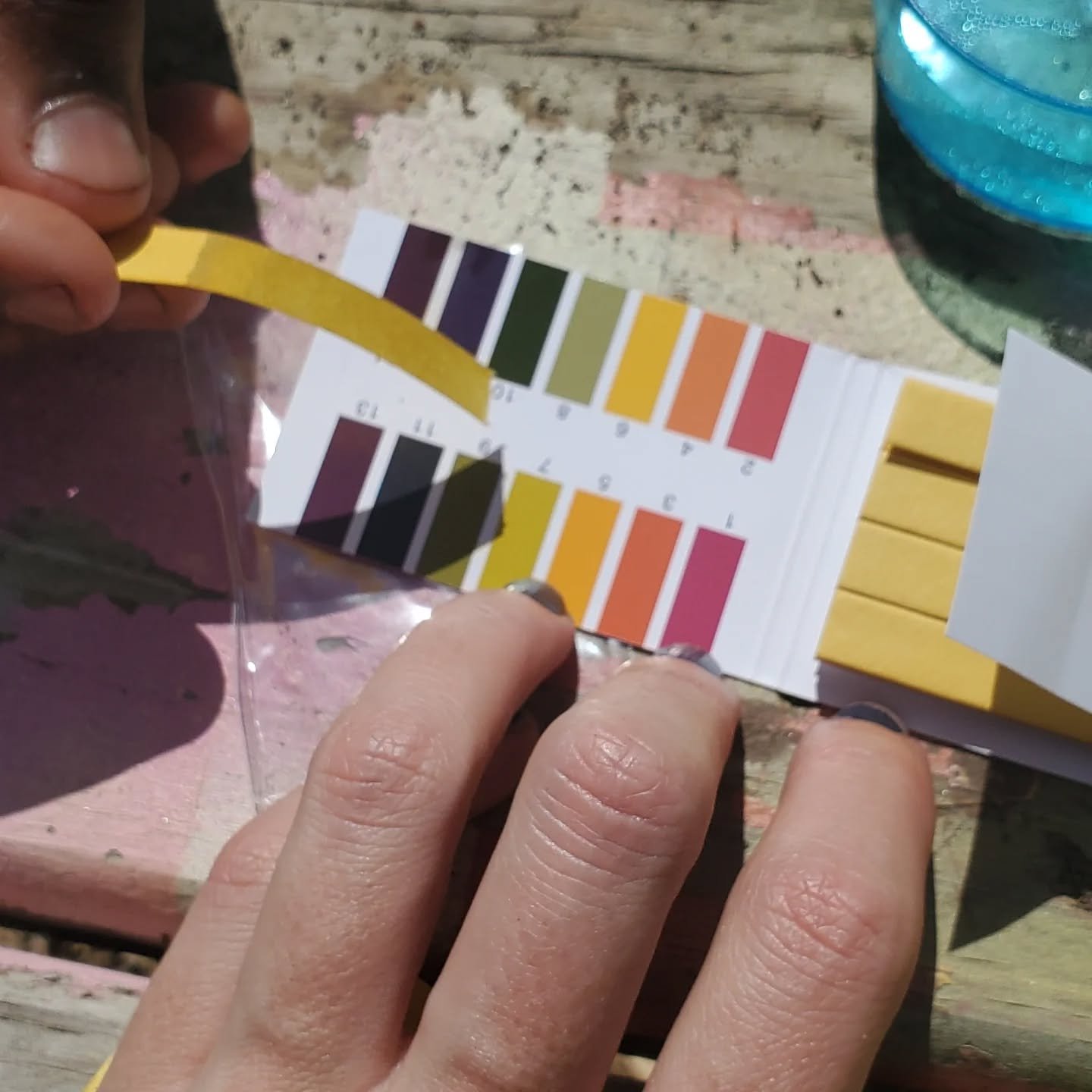 Experiments, questions, and more experiments!

And reading and videos and swinging and singing and picking up litter and gardening and writing and making art and giggling with friends and...

Friday.