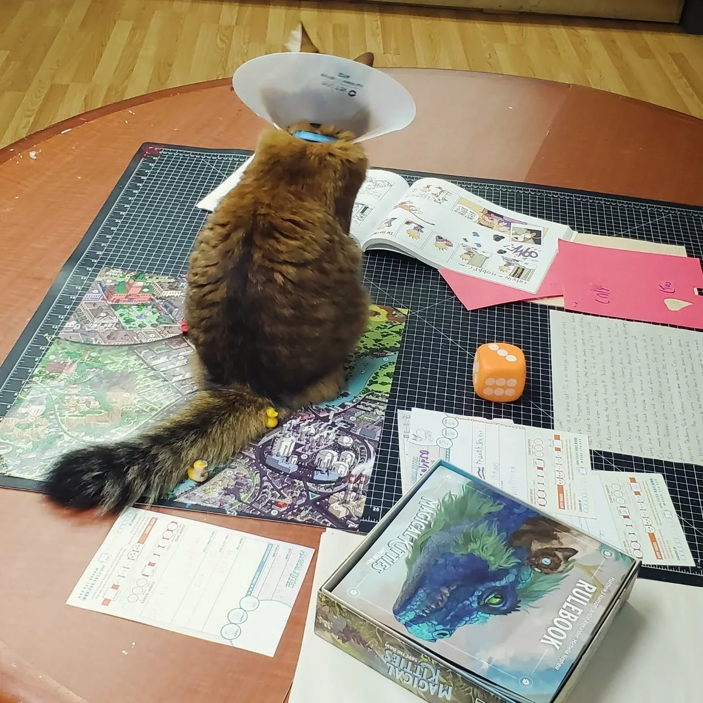 Three reasons we have so many cat posts: they are kindof a theme in our games, self-directed kids have a lot in common with cats, and Abby reads too much about the internet to post kids' faces 🐾👀