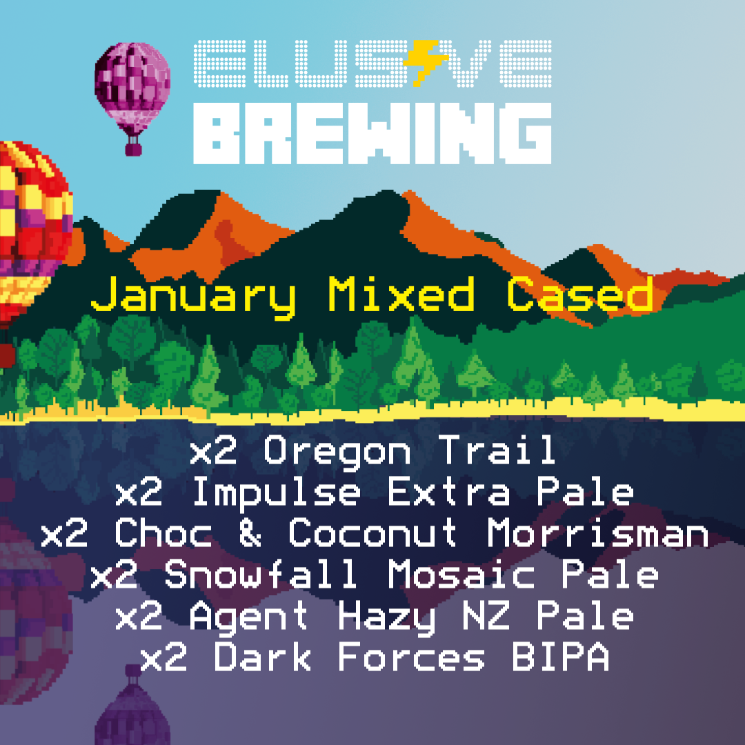 January Mixed Case - 2x6 Different Beers