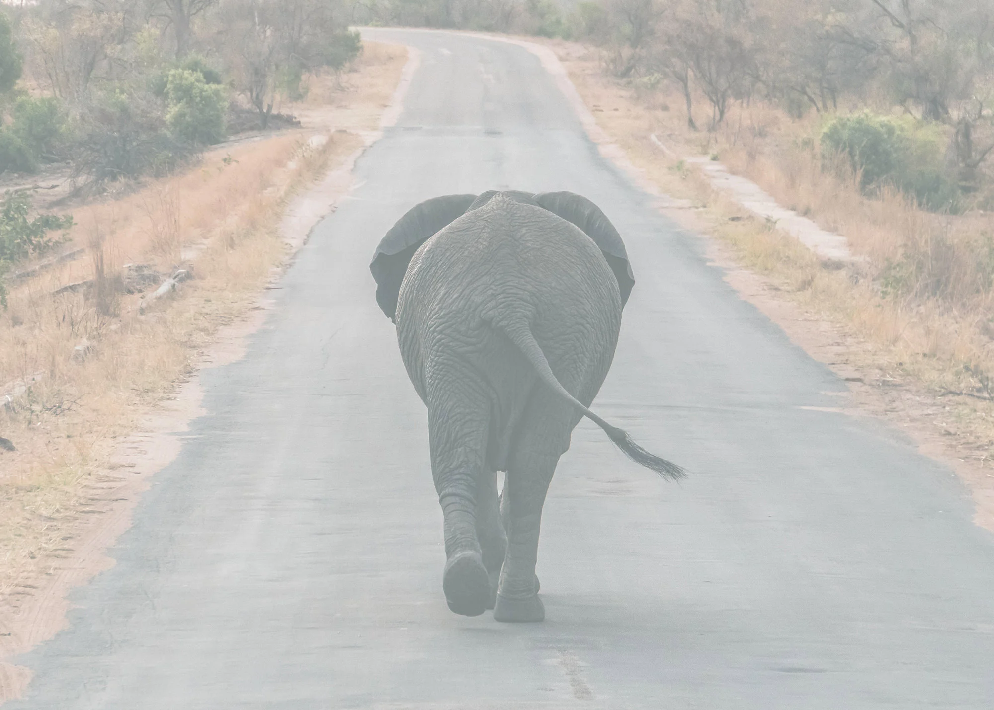 South Africa | Light, Land & Distance