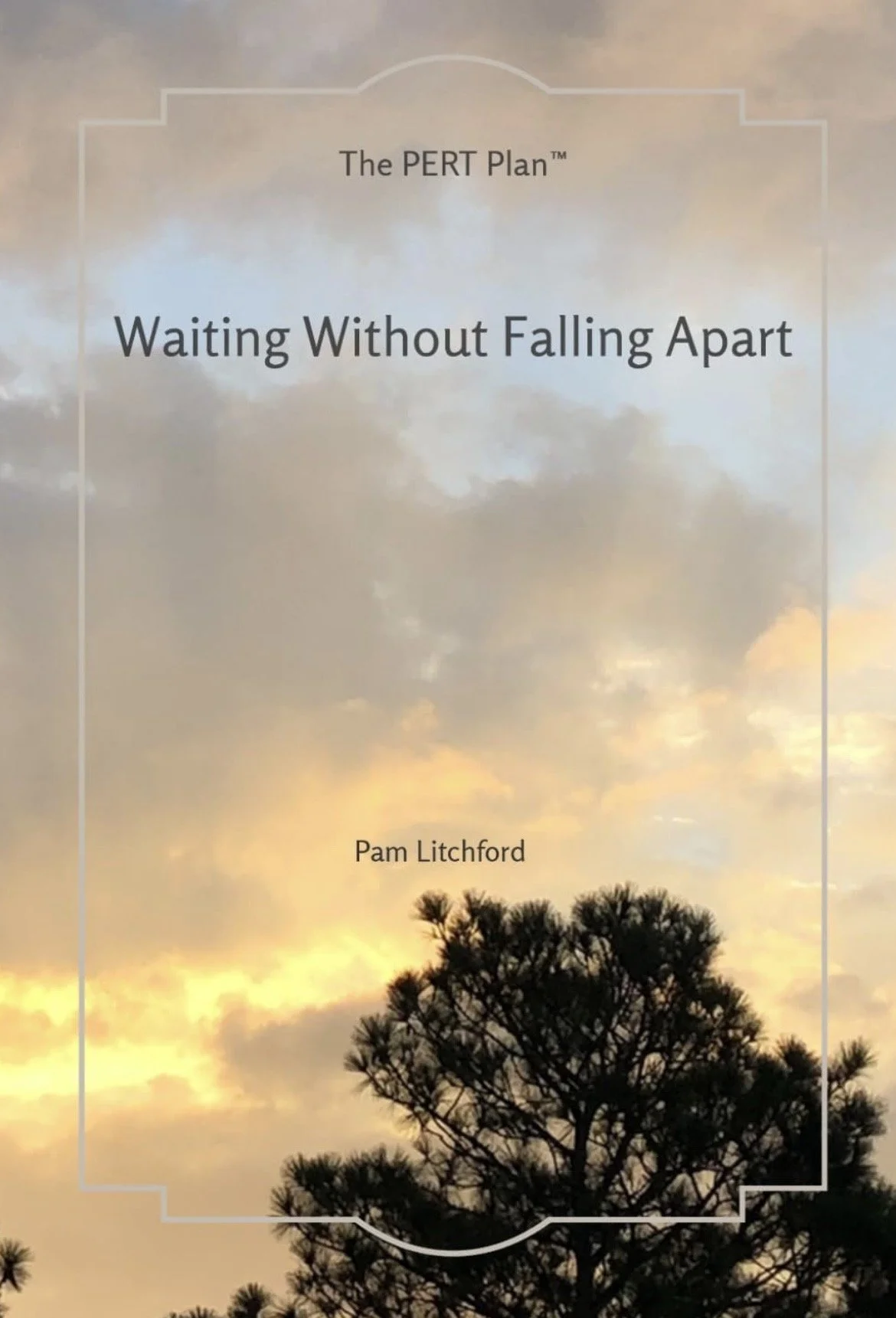 Waiting Without Falling Apart devotional book cover by Pam Litchford