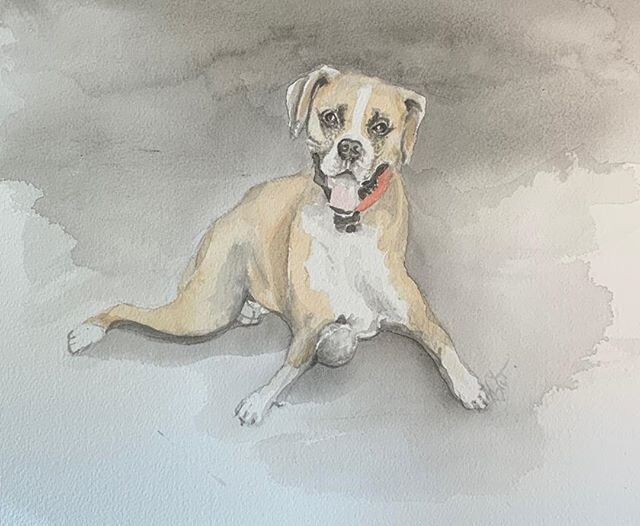 Another dog portrait for a memorable gift.
#dogportrait #mybestfriend #greatgift