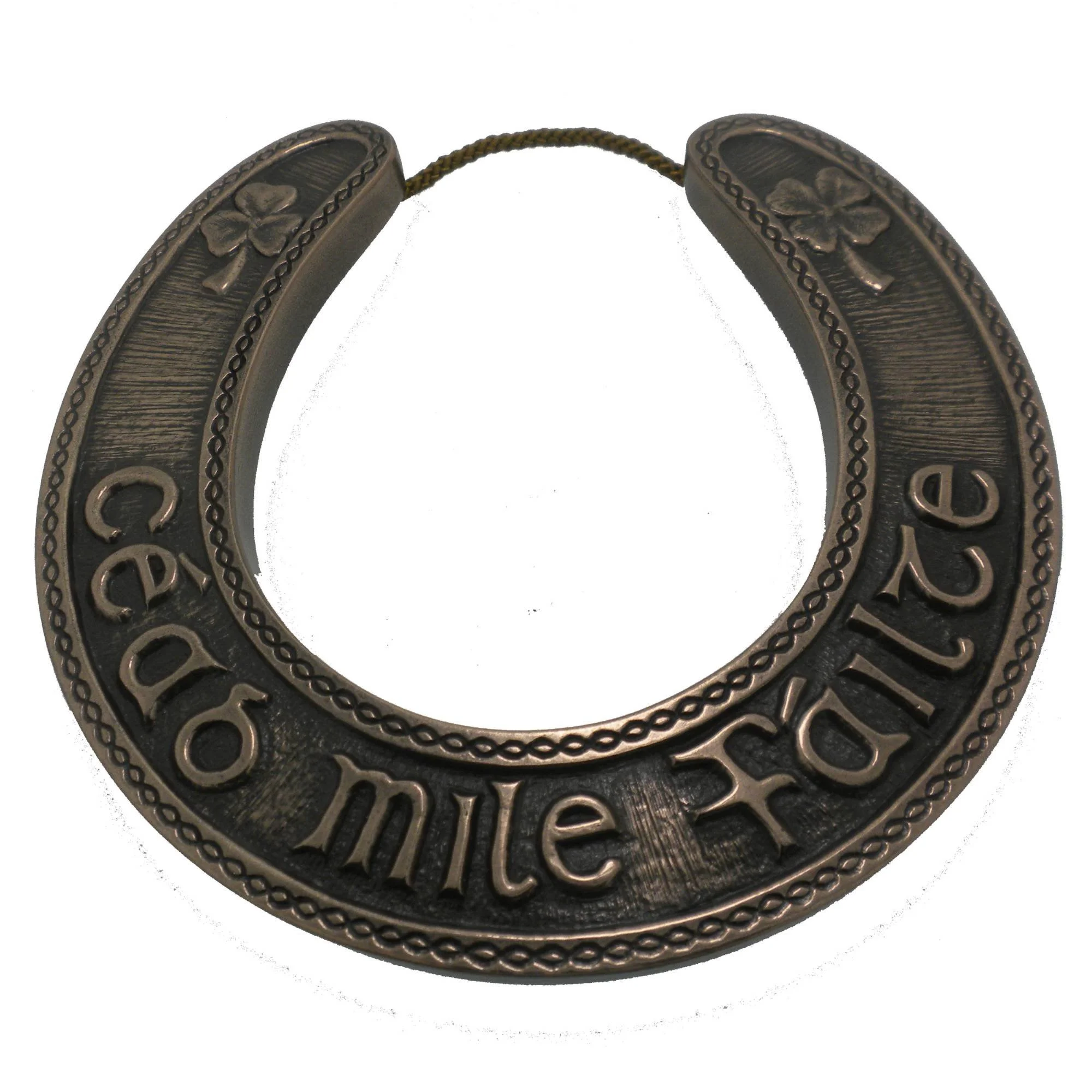 Lucky Irish Horseshoe Plaque Bronze