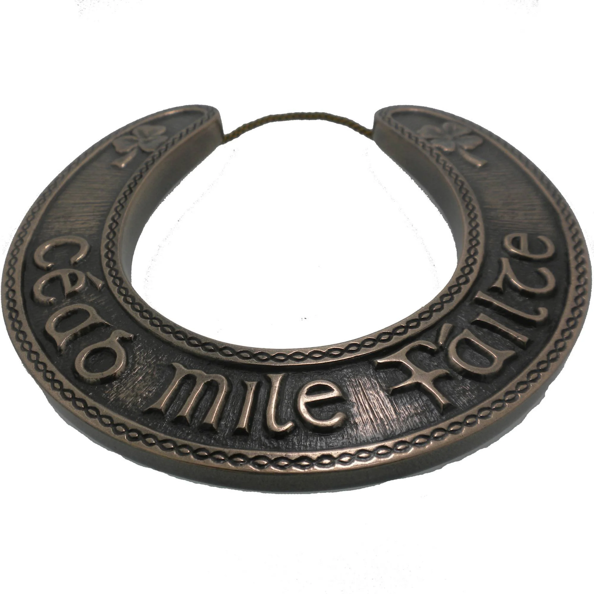 Lucky Irish Horseshoe Plaque Bronze