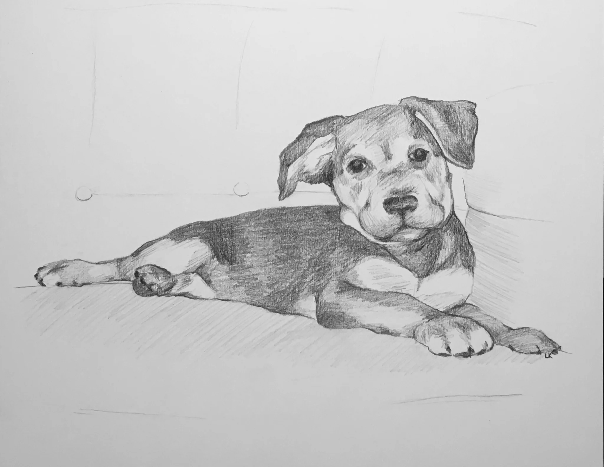 Lucy
