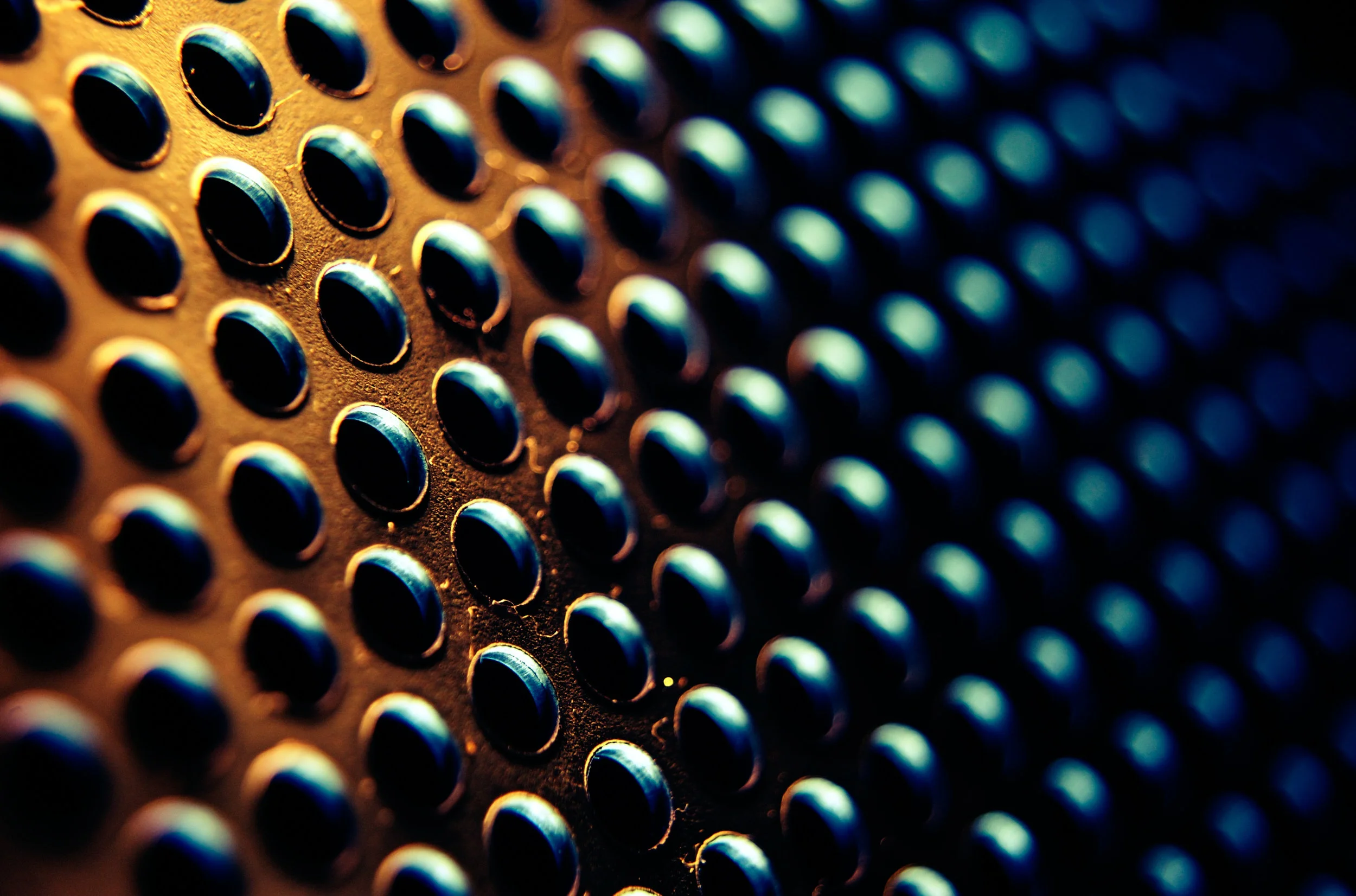 20090220-DSC_1184macro72.jpg