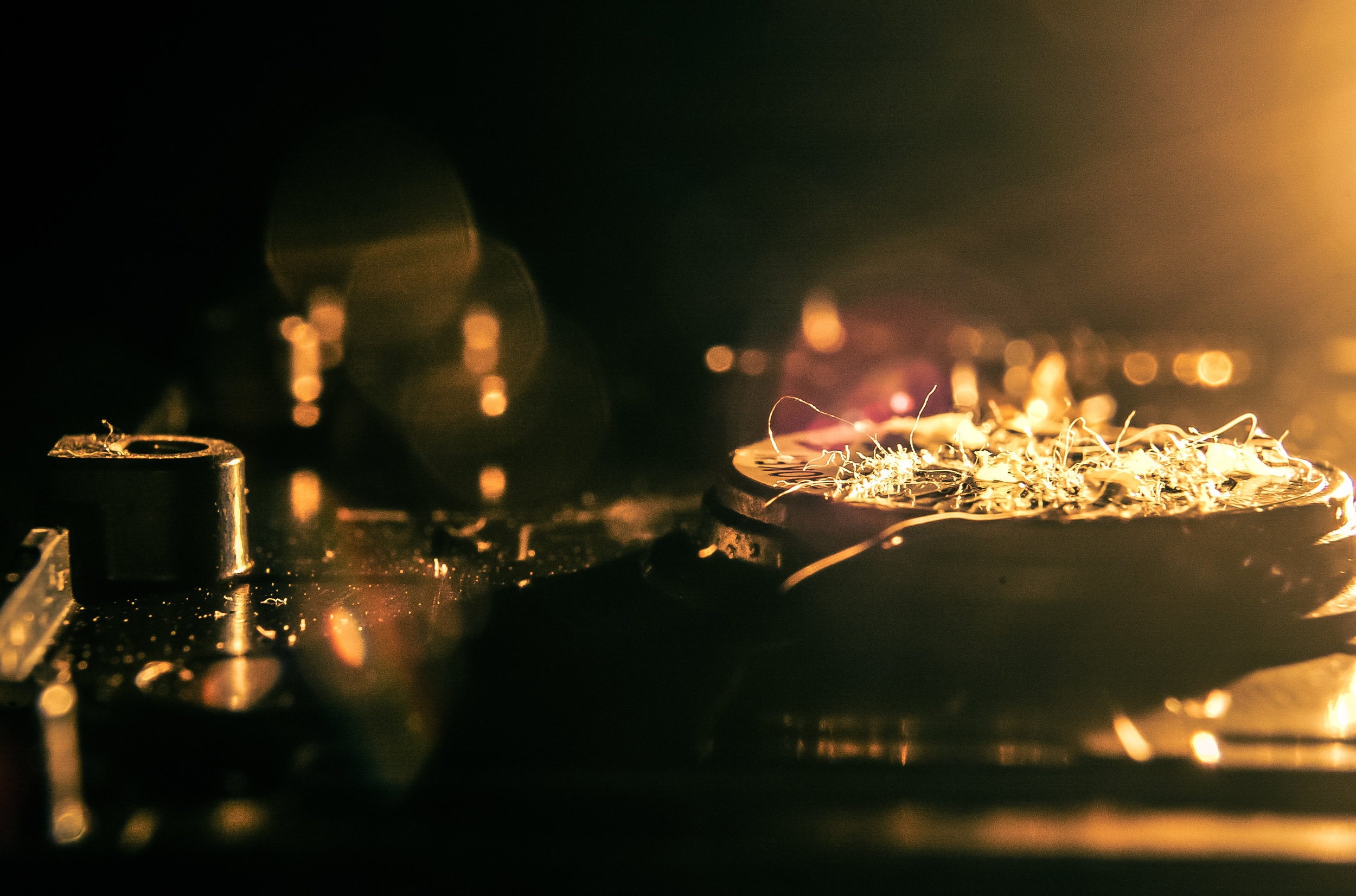 20090823-DSC_3252 - Version 2macro166.jpg