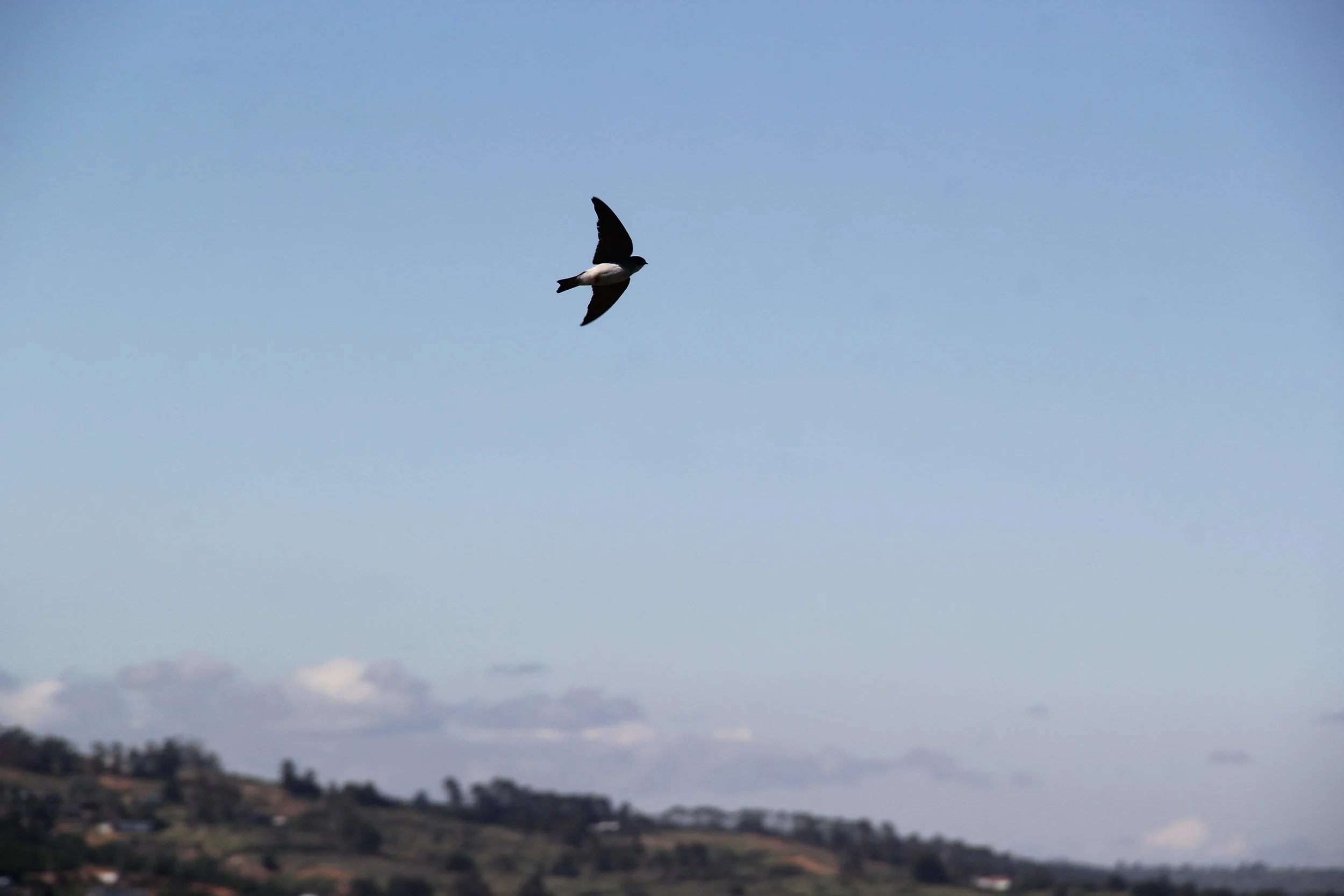Descanso de Primavera